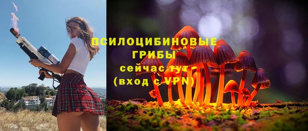 ГАЛЛЮЦИНОГЕННЫЕ ГРИБЫ Богданович